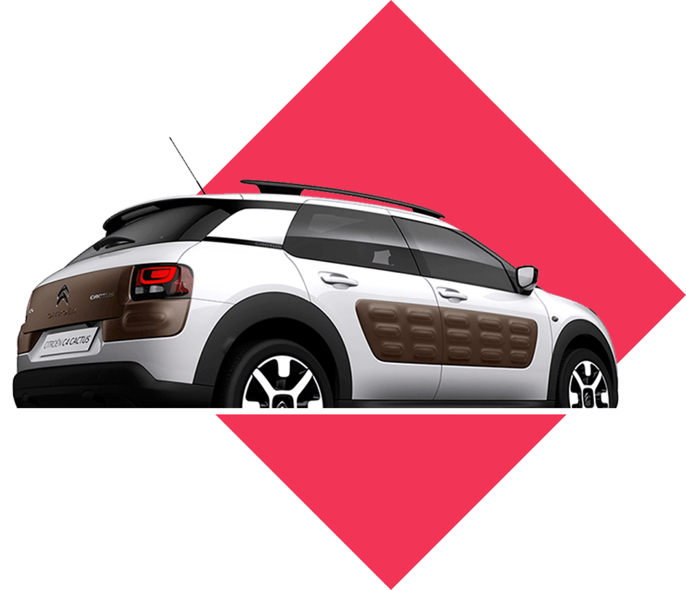 c4 cactus